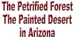 The Petrified Forest Logo